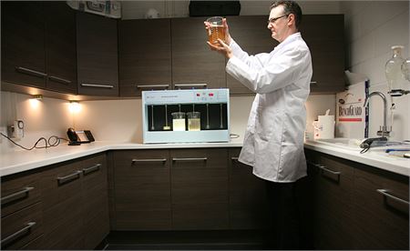 1 Laboratory Testing